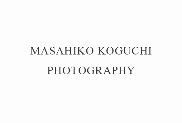 koguchi masahiko